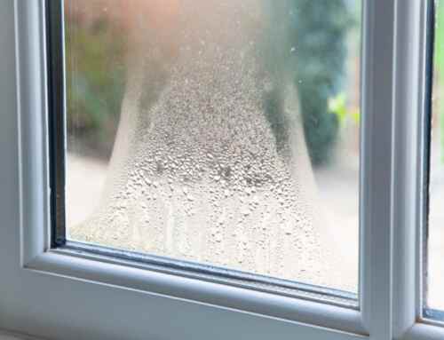 Window Condensation Guide