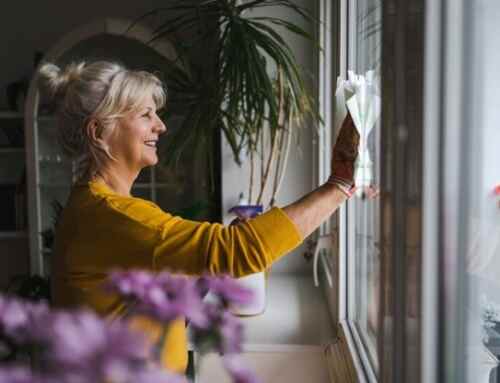Top Window Care Tips
