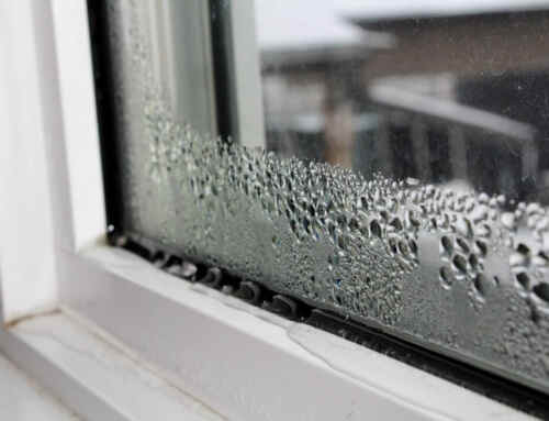 Window Condensation: What Causes It and How To Reduce It In Cold and Warm Weather
