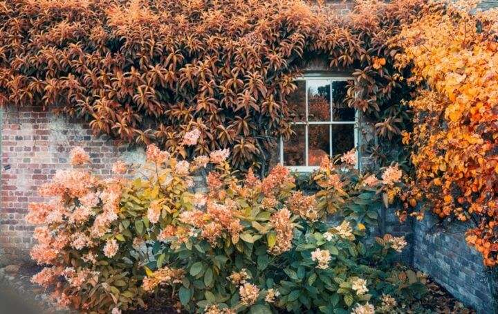 An aged brick building featuring autumn leaves and blooming flowers near a window in Columbus, Ohio