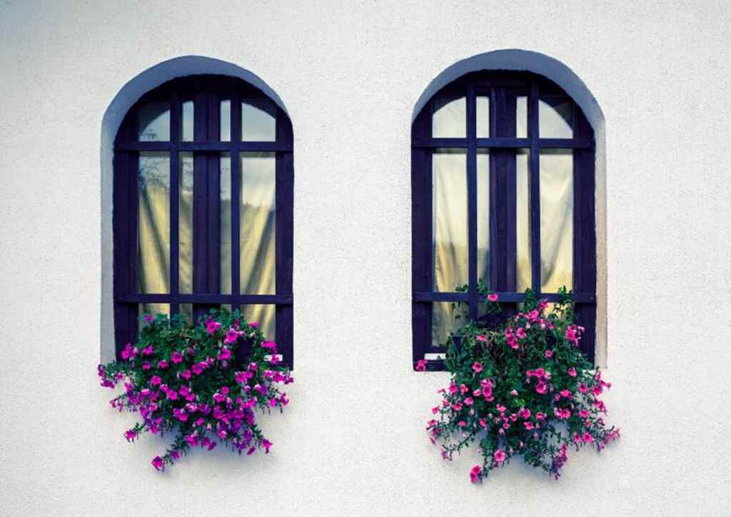 A couple of windows with flowers in them