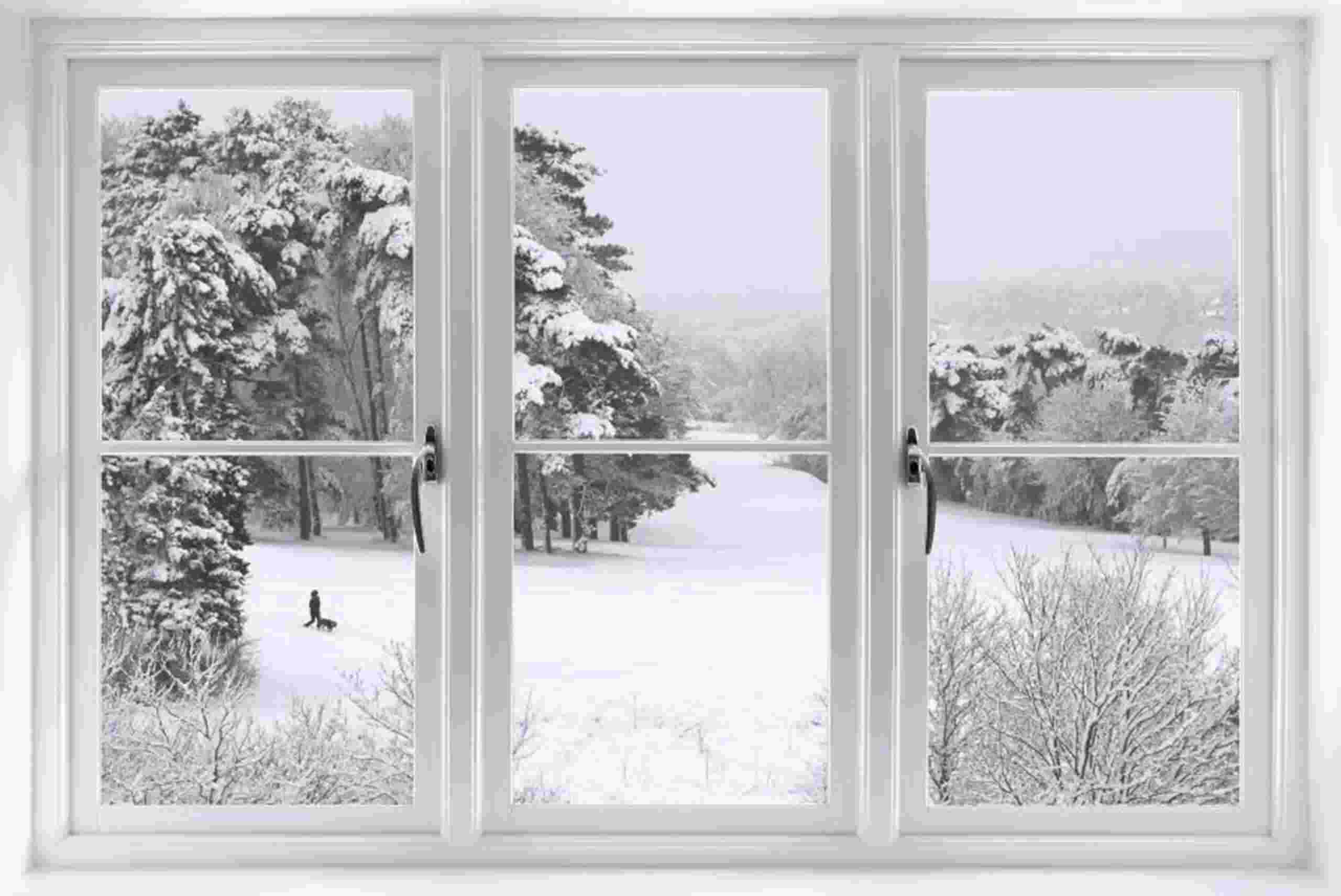 A beautiful white window installed by Rosati Windows in Columbus, OH