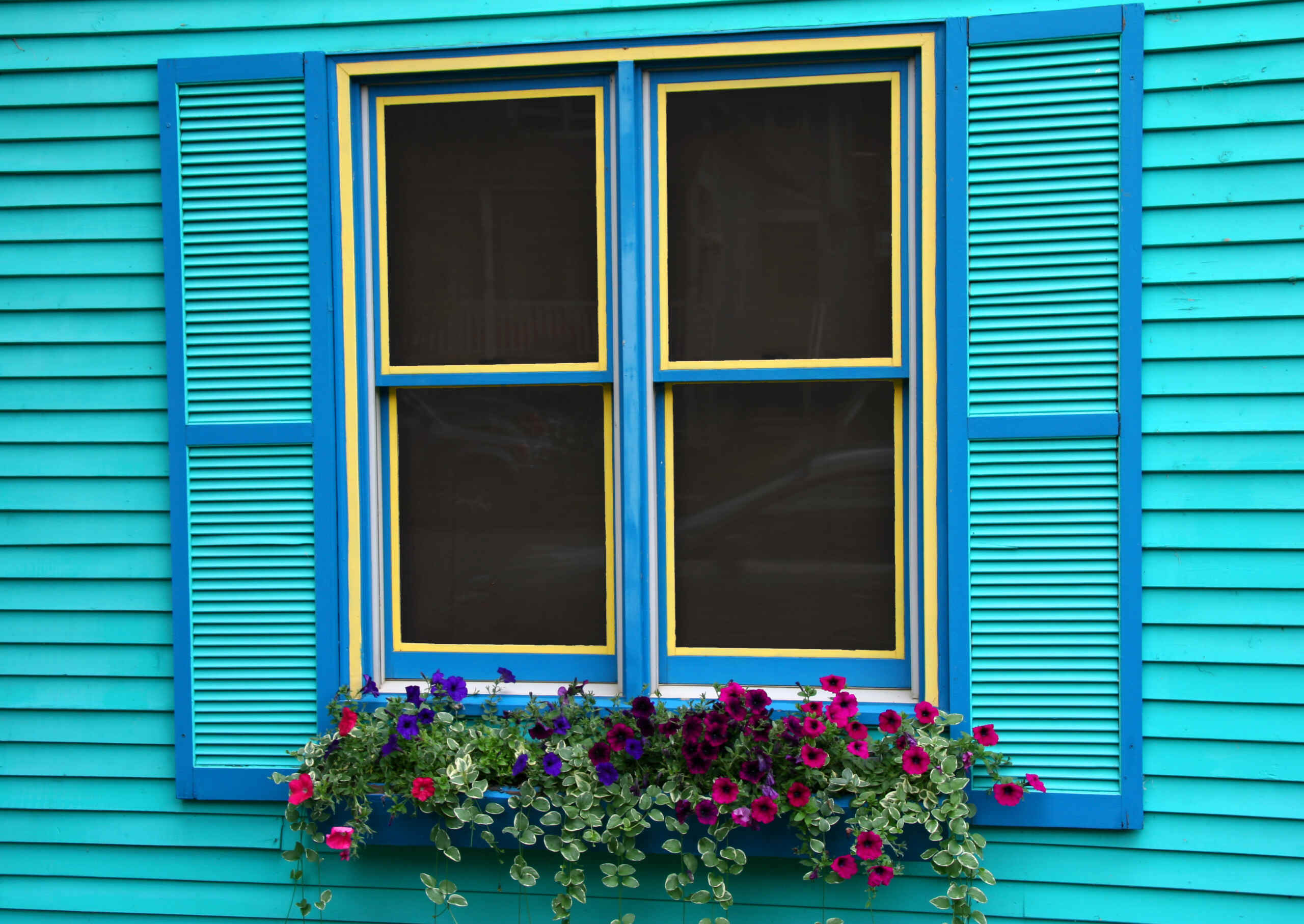 Double-Hung window with blue shutters and flower planter